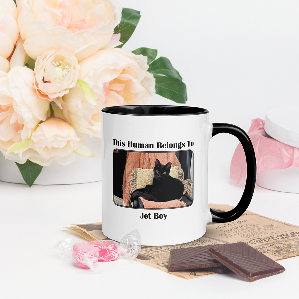 Custom 11oz Mug (Black Rim & Handle)