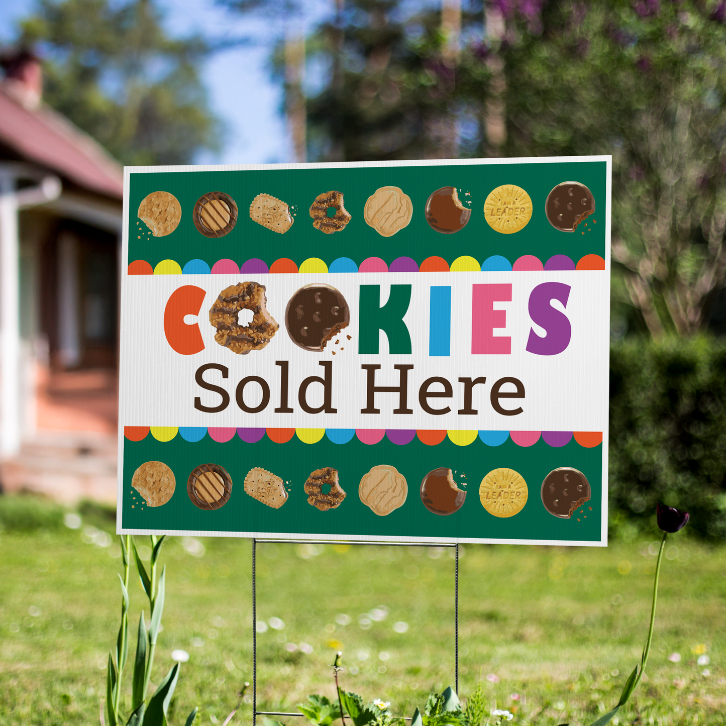 Double-sided 24 by 18 inch Scout Cookie yard sign reading Cookies Sold Here on corrugated plastic
